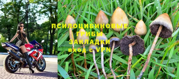 гидра Краснотурьинск
