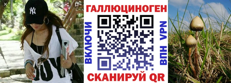цена наркотик  мега зеркало  Галлюциногенные грибы ЛСД  нарко площадка как зайти  Кимры 